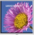 /album/photo-gallery-canvas-uri/decoratiuni-de-perete-canvas-lc-0618-jpg/